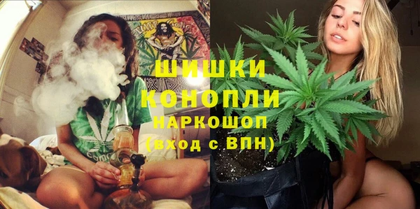 Альфа ПВП Лиски