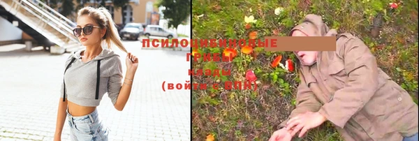 Альфа ПВП Лиски